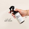 Maison&Muse Air Freshener Spray - Sea Salt & Fresh Coconut (Brigitte) - 6.8 fl oz - 3 of 4