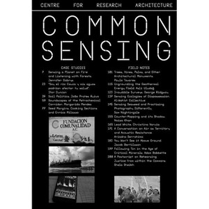 Common Sensing - by  Riccardo Badano (Paperback) - 1 of 1