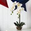 Nearly Natural 18-in Phalaenopsis with Glass Vase Artificial Flower Arrangement, White - 2 of 2
