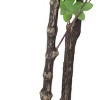 Syemin Artificial Plants Artificial Disc Leaf Tree Round Full Disc Leaves Sturdy Trunk No Watering For Home or Office, Green, 73.5"*8"*7.75" - 4 of 4
