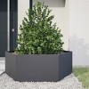 vidaXL Garden Planter Anthracite Steel Large Durable Garden Planter - 2 of 4