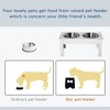 MaseiKar 6"Height Small Puppy Dog Feeding Station,Stainless Steel Elevated Dog Bowls with Modern Wooden Frame,Dog Food Stand Pet Feeding Station,White - 3 of 4