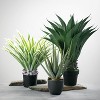 Sullivans Artificial Potted Varigated Agave 26"H Green - 3 of 4