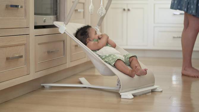 Baby Delight Alpine Deluxe Portable Bouncer, 2 of 17, play video