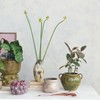 Storied Home Hand-Painted Stoneware Organic Vase with Reactive Glaze, Multicolor - 4 of 4