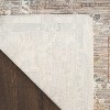 Nourison Heirloom Blend Vintage Medallion Indoor Area Rug - 4 of 4