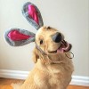 Midlee Easter Bunny Gray & Pink Dog Rabbit Ears with Tail (Small) - 3 of 4