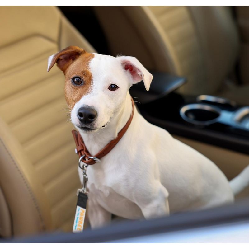 PAWBEE Dog Seat Belt for Car - 2 Pack Dog Car Harness - Adjustable Dog Seatbelt Harness - Durable Nylon Dog Seat Belt Harness - Stainless Hook & Clip, 6 of 8