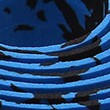 blue, black