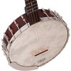 Recording King Madison OT26 Open Back Banjo - 3 of 4