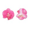 Unique Bargains Women's Phalaenopsis Faux Pearl Duckbill Clip 2 Pcs - 3 of 4