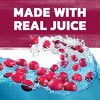 Ocean Spray Cranberry Juice Cocktail - 64 fl oz Bottle - 4 of 4