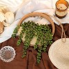 Attop 2pcs Artificial Succulents Hanging Plants 12.2'' Fake String of Pearls in Pot with 8.3'' Lanyard Wall Decor Wood Color - 3 of 4