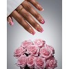 BTArtboxnails XCOATTIPS® French Pink Pastel Collection -  Square - 2 of 4