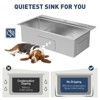 Drop In Kitchen Sink,Stainless Steel Kitchen Single Bowl Sinks, Modern Top Mount 16 Gauge Workstation Sink- with Pull-Down Faucet for Bar - 3 of 4
