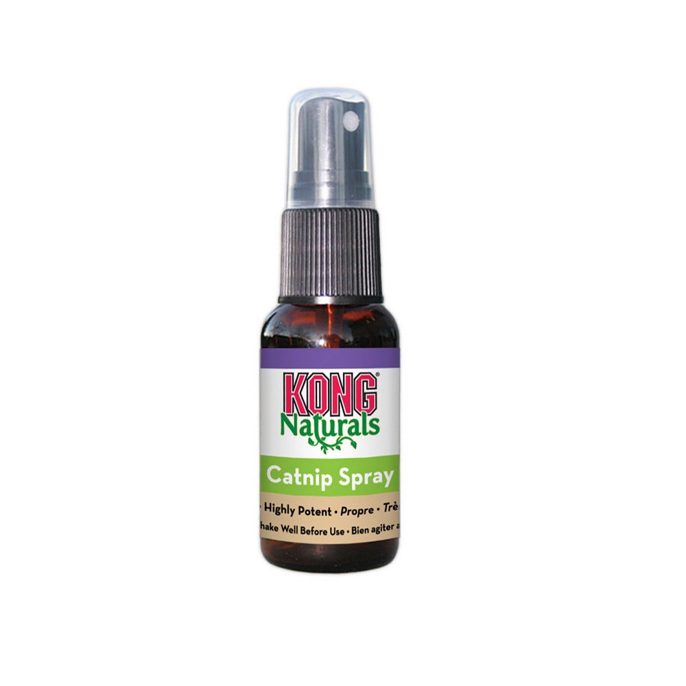 UPC 035585211220 product image for KONG Naturals Catnip Spray Cat Toy | upcitemdb.com