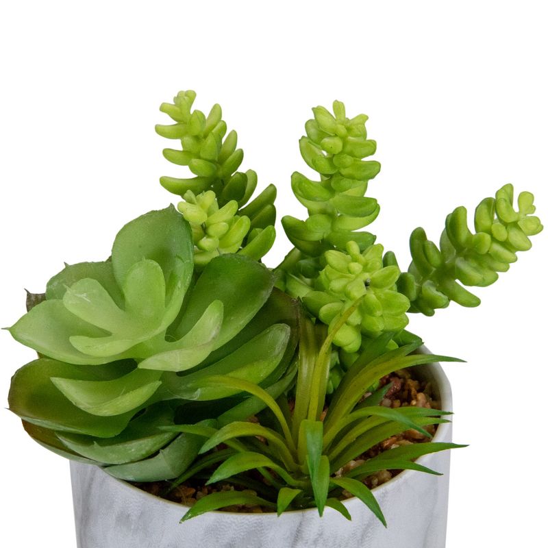 Northlight 6.5" Green Artificial Succulent Arrangement in Faux Marble Pot, 5 of 6