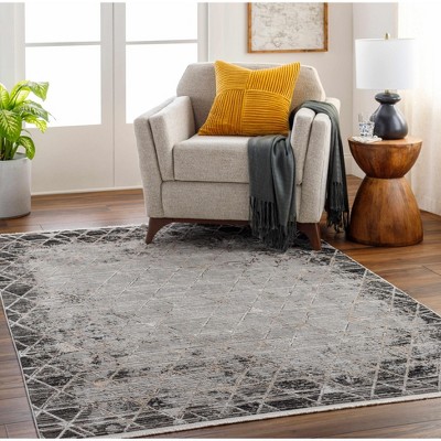 Hauteloom Luol Gray Area Rug