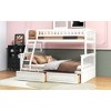 Twin Over Full Bunk Bed with Drawers for Bedroom - 4 of 4