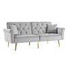 NicBex Modern Velvet Tufted Loveseat Sofa with 2 Throw Pillows & Nailhead Trim,2-Seater Couch for Living Room,Solid + Manufactured Wood Frame - 4 of 4