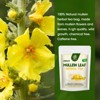 MM IMatchme Natural Organic Mullein Tea for Respiratory Health, 28 Tea Bags - 2 of 4