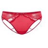 Adore Me Women's Suki Cheeky Panty - 4 of 4