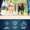2 Hounds Design Freedom No Pull Adjustable Dog Harness | Comfortable Control for Easy Walking | Made in USA | Solid Colors | 1" LG Burgundy - 3 of 4