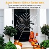 Halloween Decorations Spider Outdoor 59inch Halloween Spider  Hairy Poseable Scary Spider Outdoor Yard Creepy Decor Spider Stretch Cobweb - 3 of 4