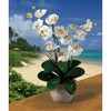 Nearly Natural Double Phalaenopsis Artificial Orchid Flower Arrangement, Cream - 4 of 4