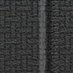 vegas golden knights