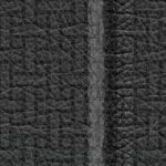 vegas golden knights