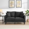Lyngins Wooden Frame 2-Seater Loveseat Sofa with 2 Pillows, Upholstered High-Density Sponge, Compact Couch for Living Room, Bedroom, Apartment - 3 of 4