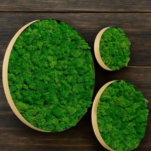 Alilang 24.00 Inch Set of Three Round Moss Wall Art with Natural Green Preserved Moss in Wooden Frames - Green - 1 of 4