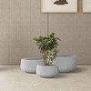 Rosemead Home & Garden 3pc Concrete Outdoor Planter Pot Cement Gray - 2 of 4