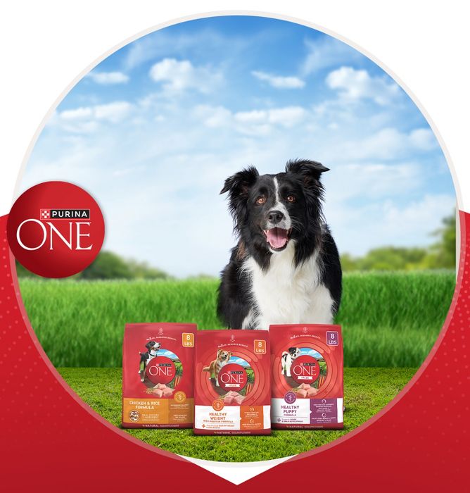 Purina one vibrant maturity target best sale