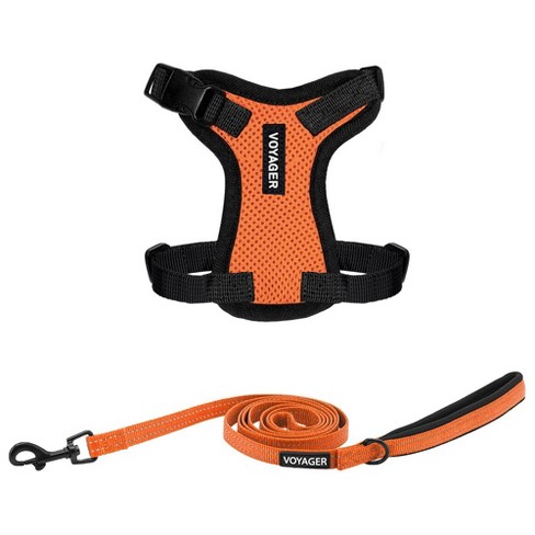 Voyager Step-in Lock Adjustable Dog & Cat Harness And 5ft Leash Combo ...