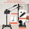 TASALON 2 in 1 Ionic Facial Steamer on Wheels, with Ozone and Hot & Cold Mist - Black - 3 of 4