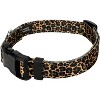 Country Brook Petz Deluxe Leopard Print Dog Collar - Made in the U.S.A. (1/2 Inch, Extra Small) - 4 of 4