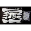 Beasts of the Mesozoic: Build-A-Raptor Set B: Atrociraptor - 3 of 4