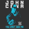 Mens WWE John Cena You Can't See Me Blue Lightweight Hoodie - 2 of 4