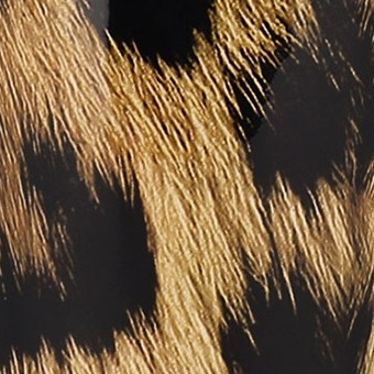 leopard print