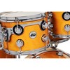 DW 6-Piece Collector's Series Santa Monica Shell Pack With Chrome Hardware Butterscotch - 3 of 4