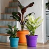 Bloem Saturn Round Resin Planter Pot Indoor and Outdoor Gardening - 2 of 4