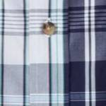 new navy plaid