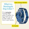 Country Brook Petz HossFit Jr Wide Martingale Dog Collar - Paisley Collection - 4 of 4