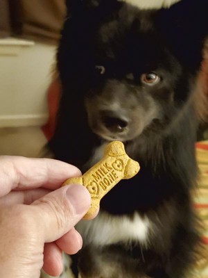 Milk-bone Stacked Molasses And Peanut Butter Dog Treats - 10oz : Target