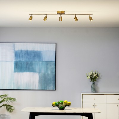 Shura 48" Brushed Brass LED Track Light with Adjustable Heads