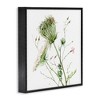 Stupell Industries Blooming Queen Anne's Lace Wildflower Watercolor Painting, 24" x 24" - 3 of 4