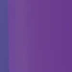 purple & light purple