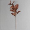 Magnolia Stem Brown - Threshold™ - image 4 of 4